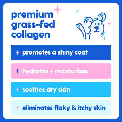 collagen starter 2-pack