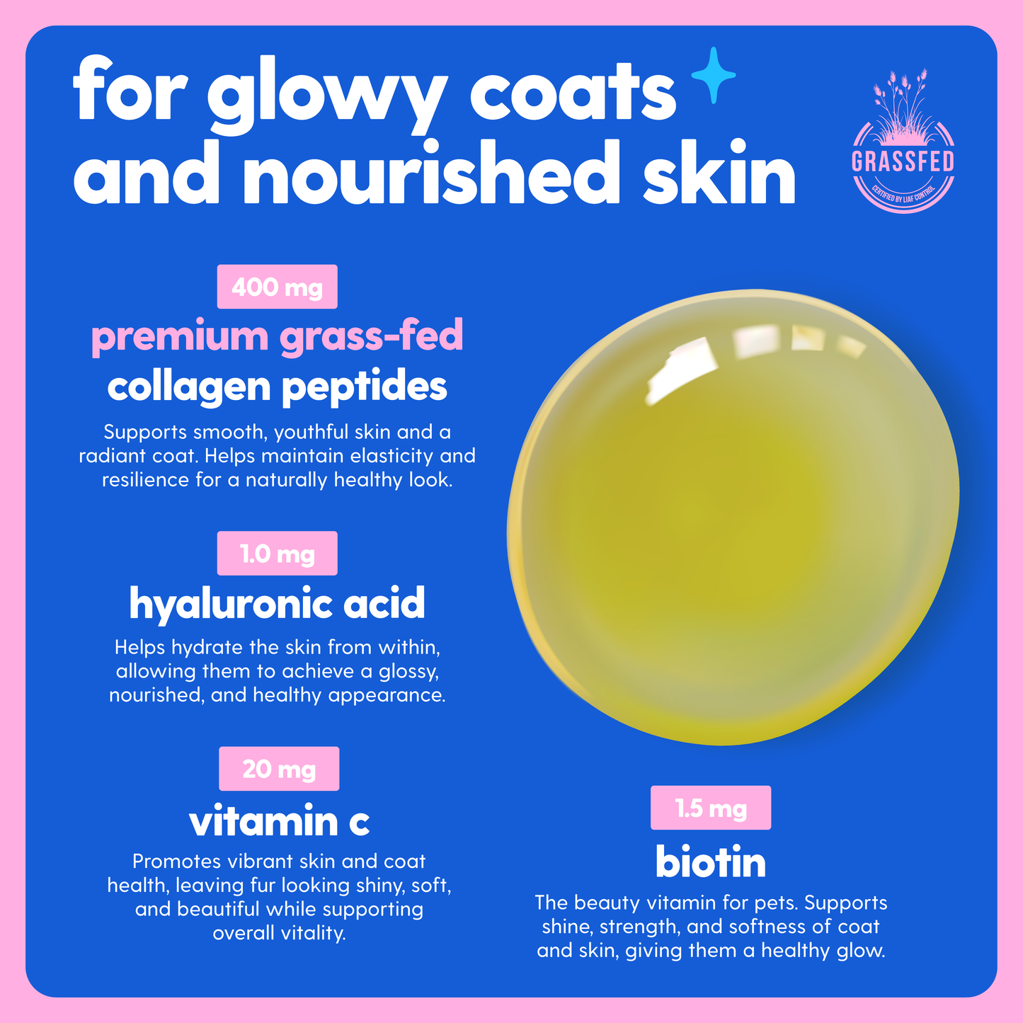 collagen starter 2-pack