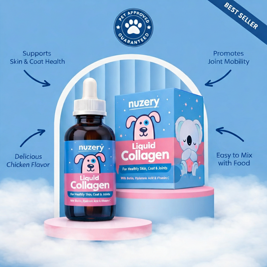 collagen for dogs