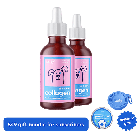 collagen starter 2-pack